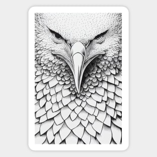 Eagle Bald Eagle Wild Nature Illustration Line Epic Illustration Line Art Magnet